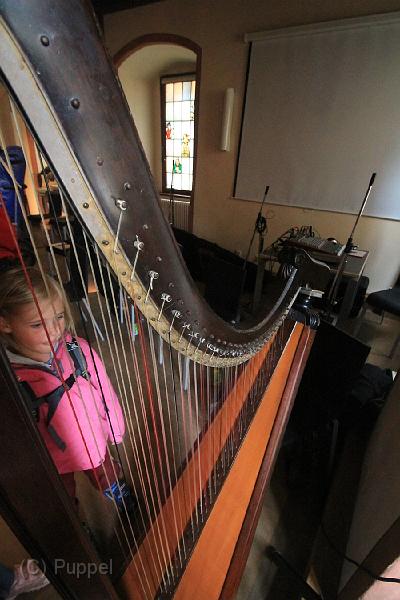 20110702-1200 AltRH_Magic Harps_D-F1135-IMGA8417-5.jpg